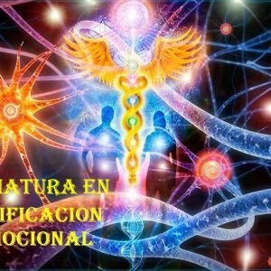 Decodificación Biológica