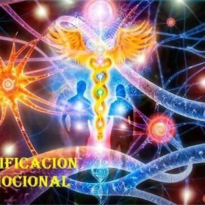 Decodificación Biológica