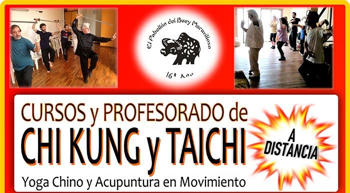 Profesorado de Tai Chi - Chi Kung