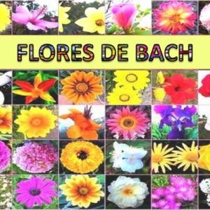 Flores de Bach