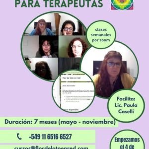 Herramientas para Terapeutas.