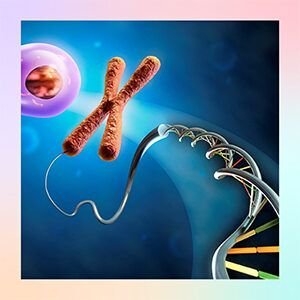 Decodificación Bioemocional