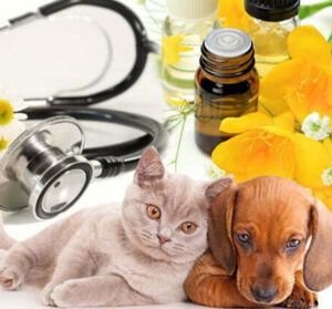 Terapia de Flores de Bach para mascotas.
