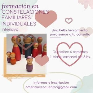 Constelaciones Familiares Individuales.