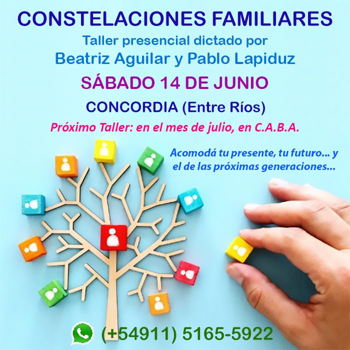 Taller de Constelaciones Familiares.