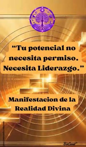 Mentoría Negocios y Dinero